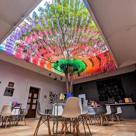 Bkl Hotel Oaxaca Zewnętrze zdjęcie