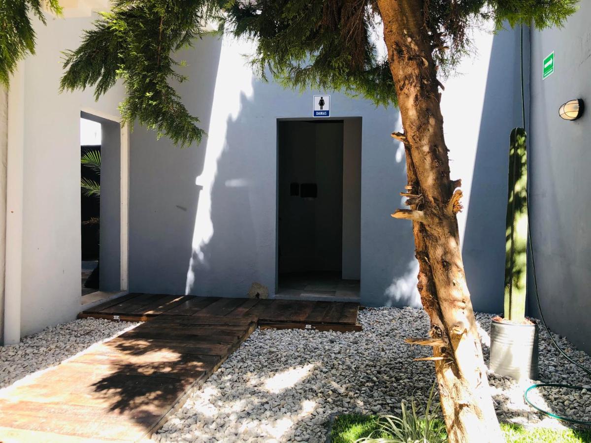 Bkl Hotel Oaxaca Zewnętrze zdjęcie