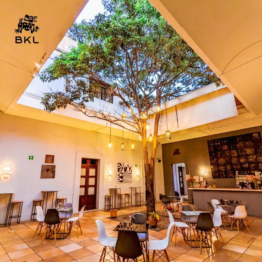 Bkl Hotel Oaxaca Zewnętrze zdjęcie